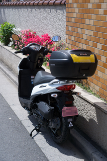 20150426-DSC05316.jpg
