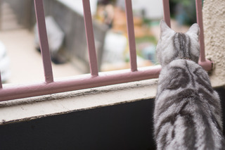 20160921-DSC09787.jpg