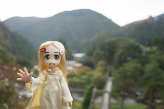 20161021-DSC09833.jpg