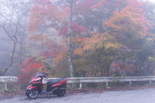 20161030-DSC09957.jpg