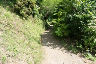 20170603-DSC00533.jpg
