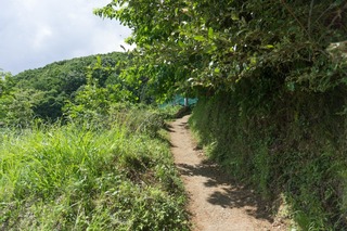 20170603-DSC00536.jpg