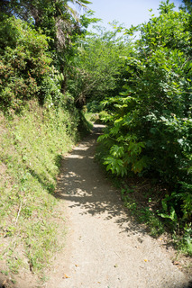 20170603-DSC00550.jpg