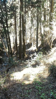 P_20190411_130715.jpg